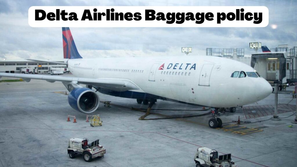 delta airlines baggage policy